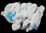 Vibrant Blue Cavansite Crystals on Stilbite - India #62873-1
